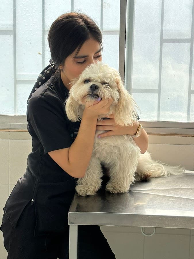 Urgencias veterinarias 24 horas Clínica RAZA - Pasadena — foto
