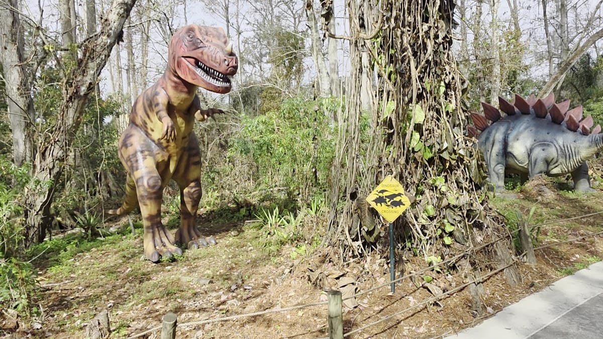 Dinosaur World — foto