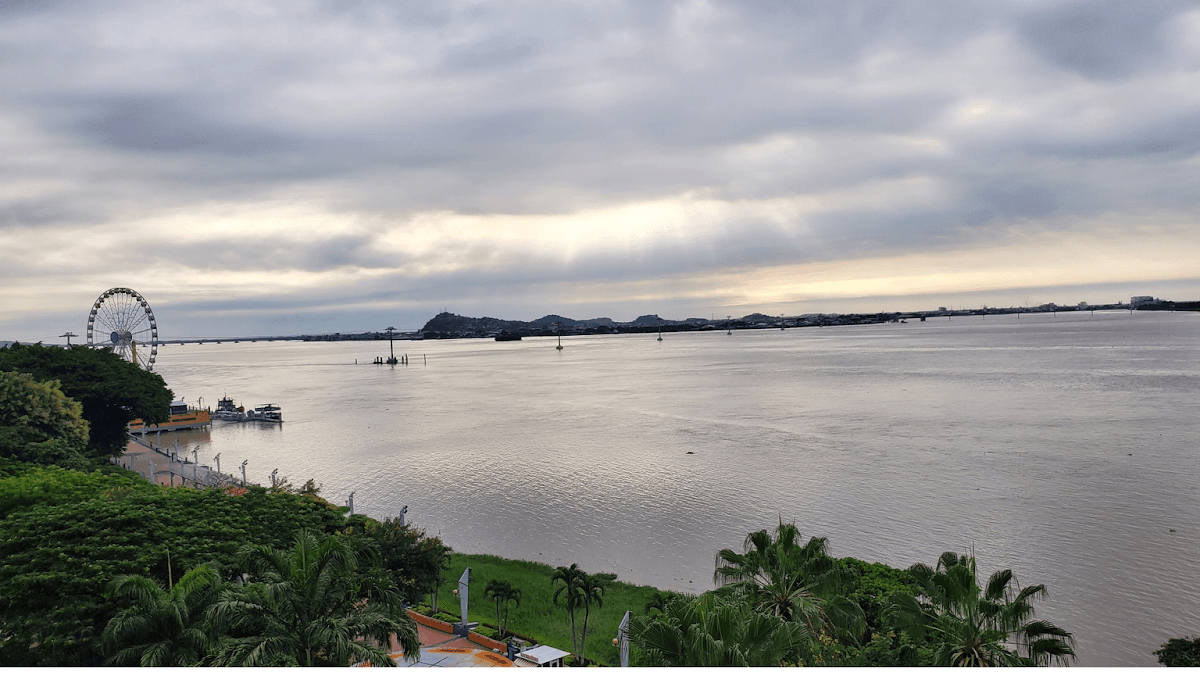 NOTARIA 28 de GUAYAQUIL