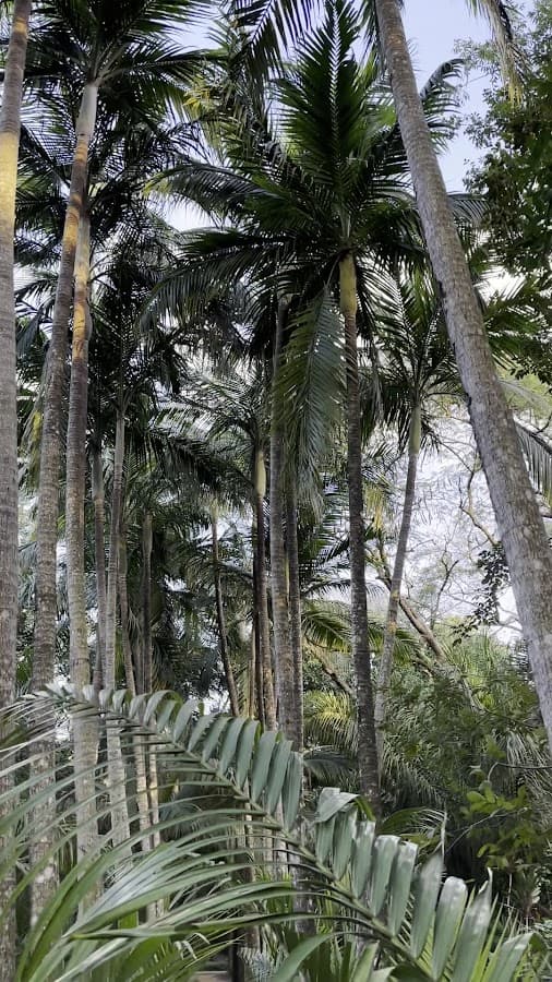Parque Ecológico Yvaga Guazú — foto