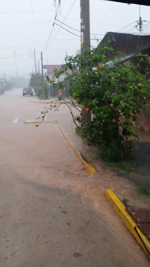 Parque Pedro Portillo — foto