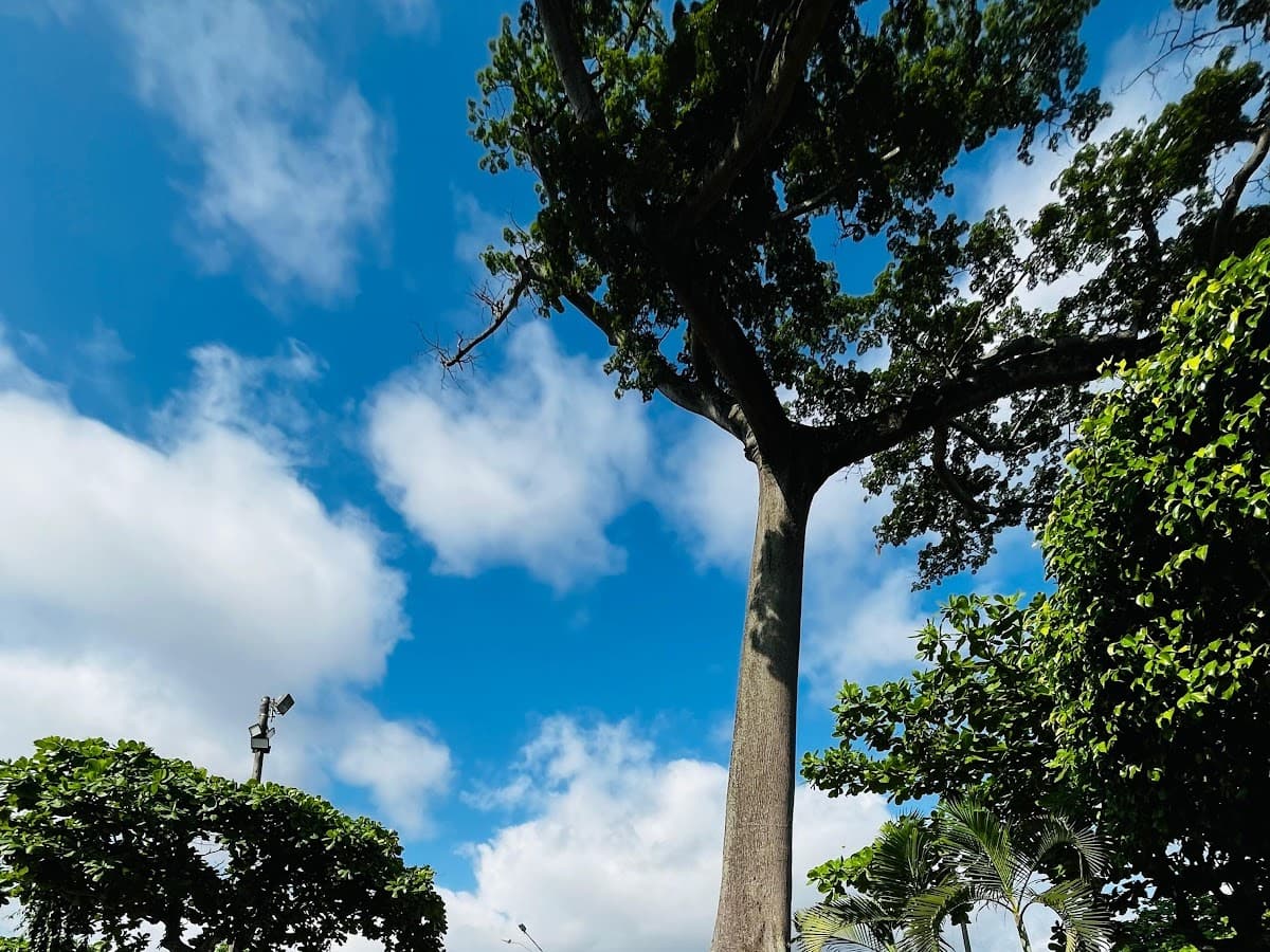 Parque Pedro Portillo — foto