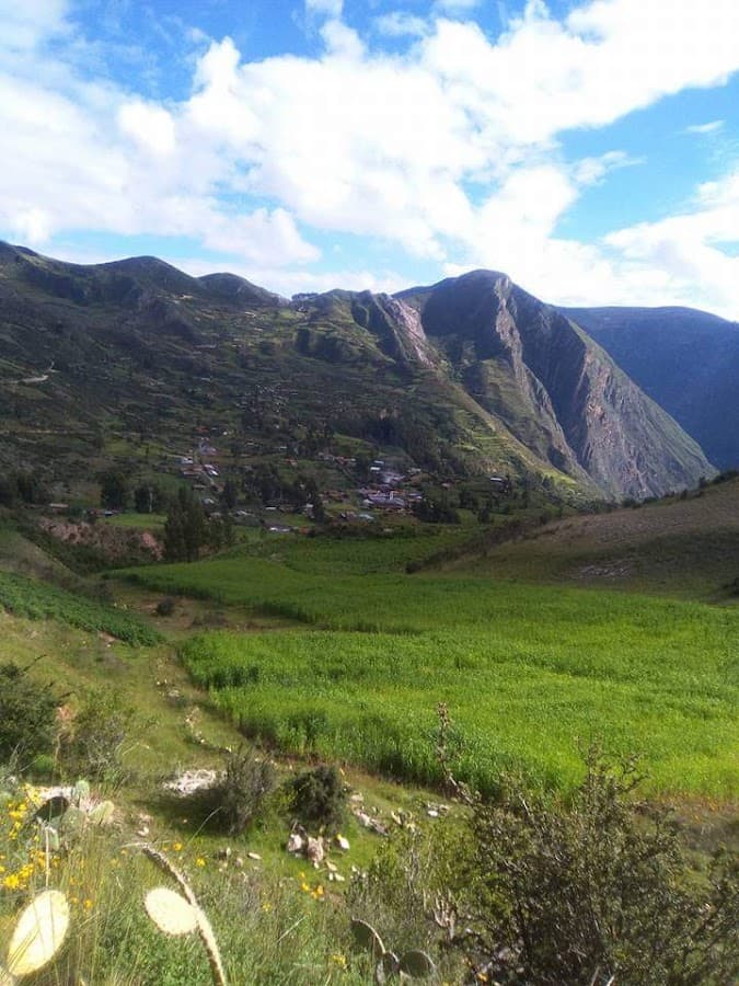 C.P LARIA - Huancayo