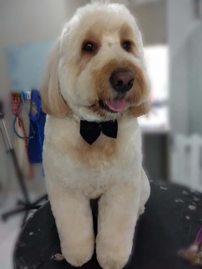 Espaço Animal — foto