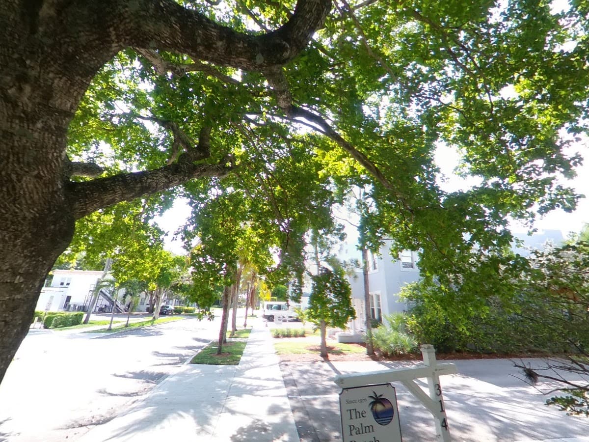 The Palm Beach Institute — foto