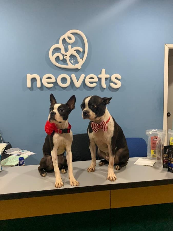 NEOVETS clínica veterinaria