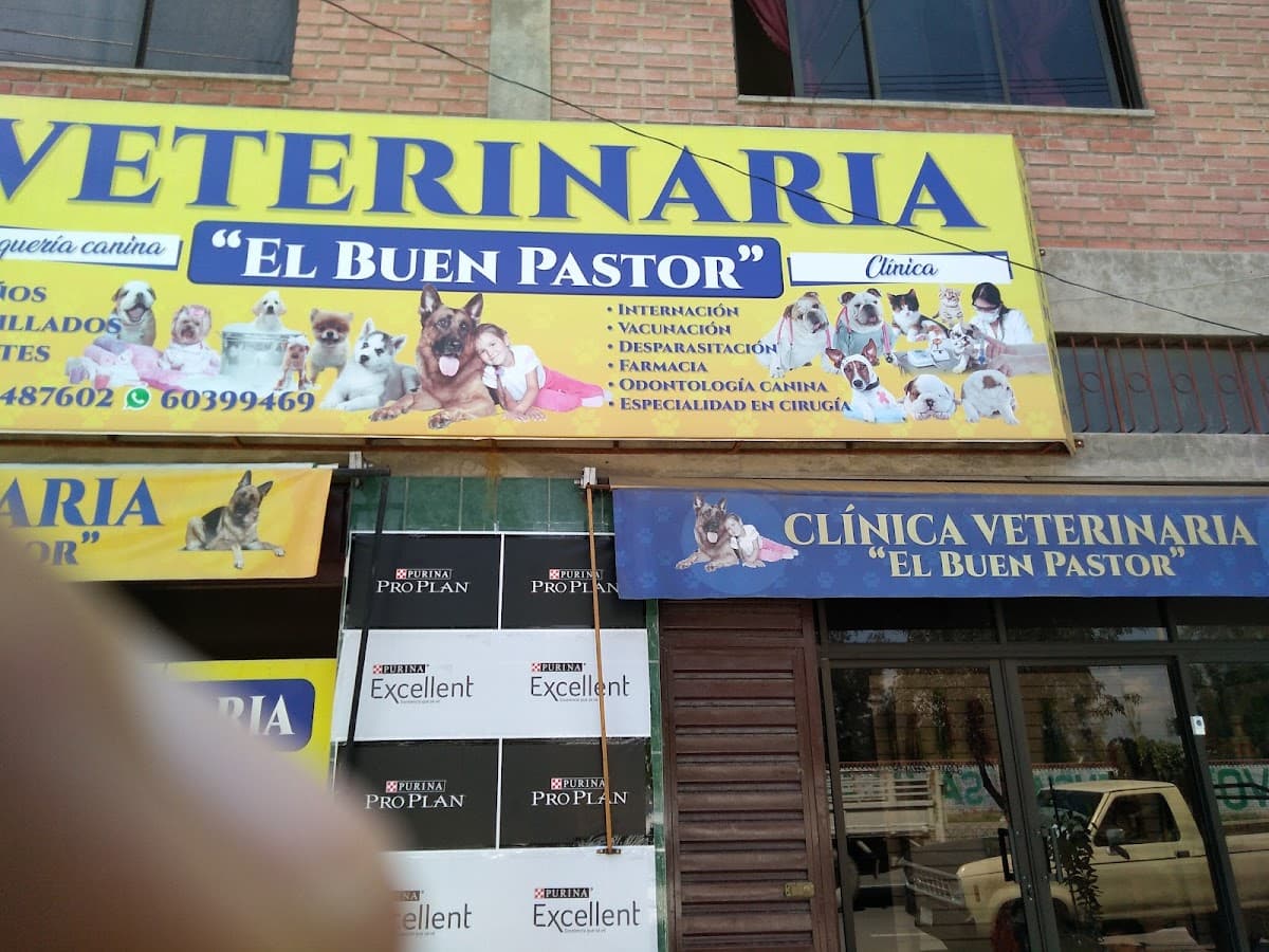 VETERINARIA MUNDO ANIMAL — foto