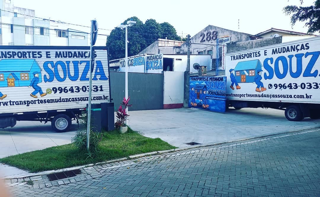 transportes & mudanças souza