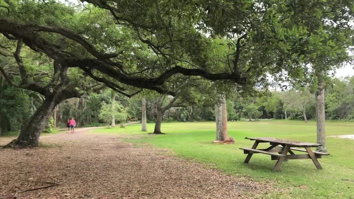 Hugh Taylor Birch State Park — foto