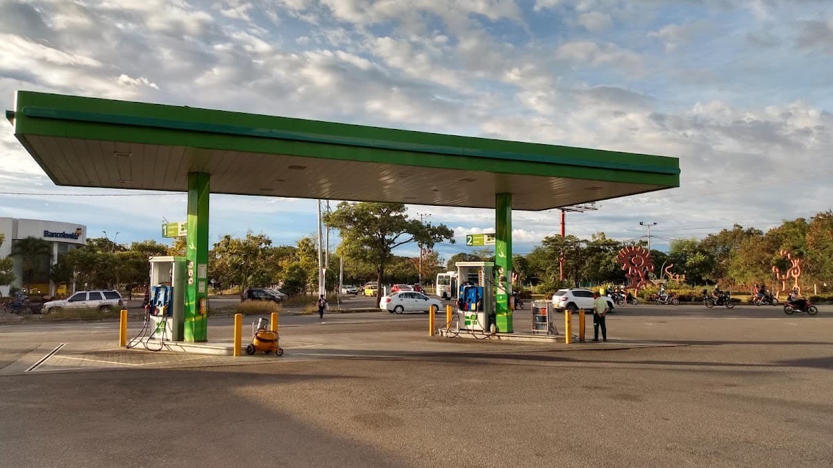 Flota Huila S.A