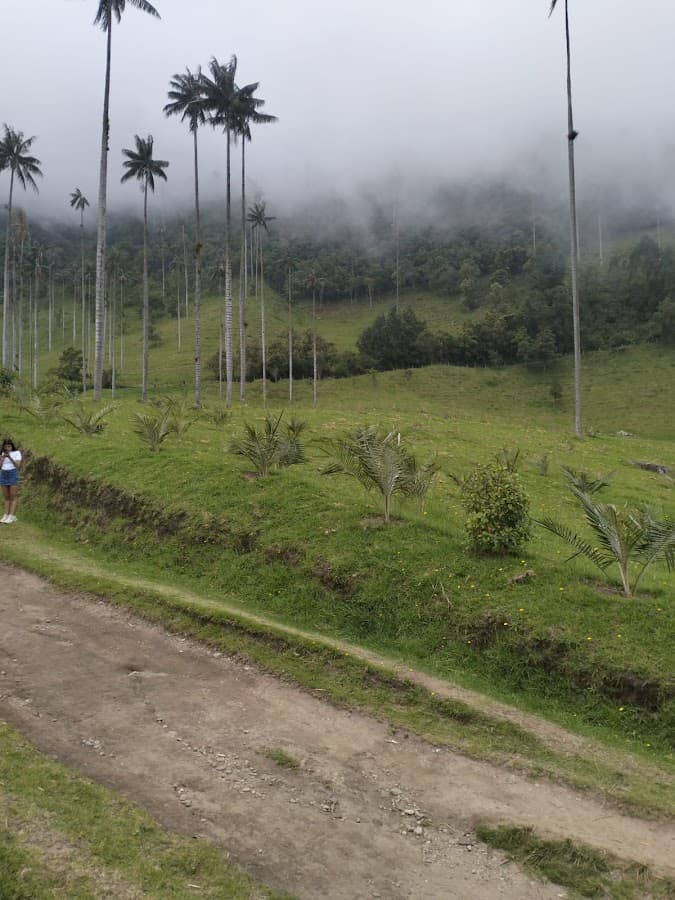 Turismo y Transporte Cafetero S.A.S — foto