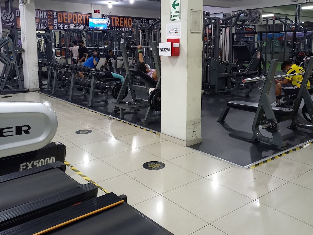 TRENO FITNESS