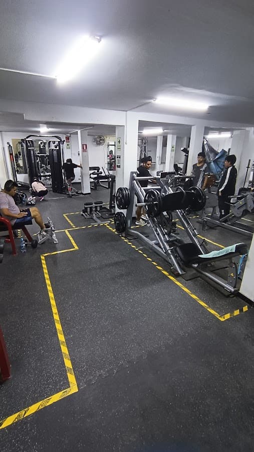 NEW BODY - SAN ISIDRO — foto