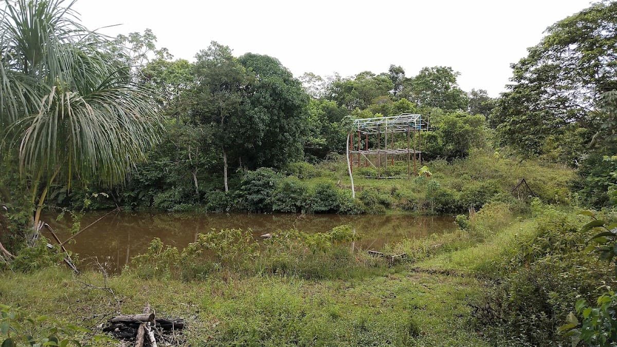 Desarrollo Inmobiliario "Paraíso del Amazonas" - Perú