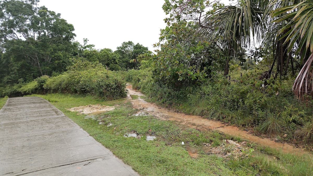Desarrollo Inmobiliario "Paraíso del Amazonas" - Perú — foto