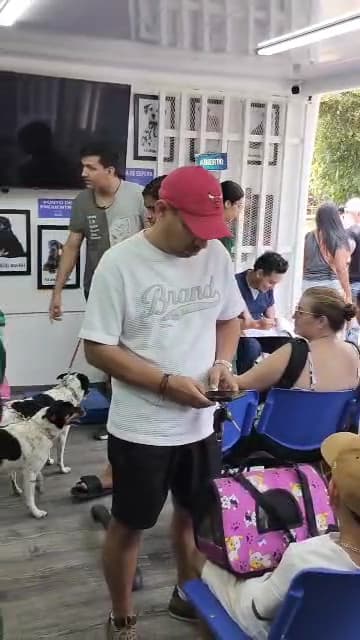Clínica Veterinaria Hércules sede 1 — foto
