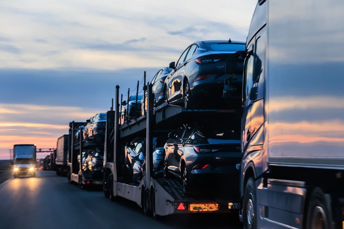 Miami Country Auto Mover's