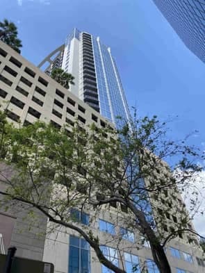 ALIGN Real Estate — foto
