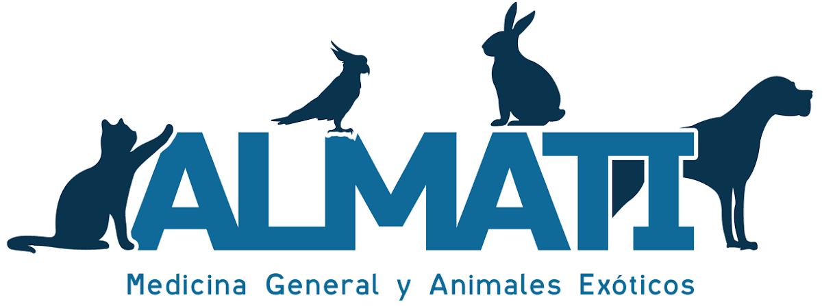 Almati Clínica Veterinaria Manizales — foto