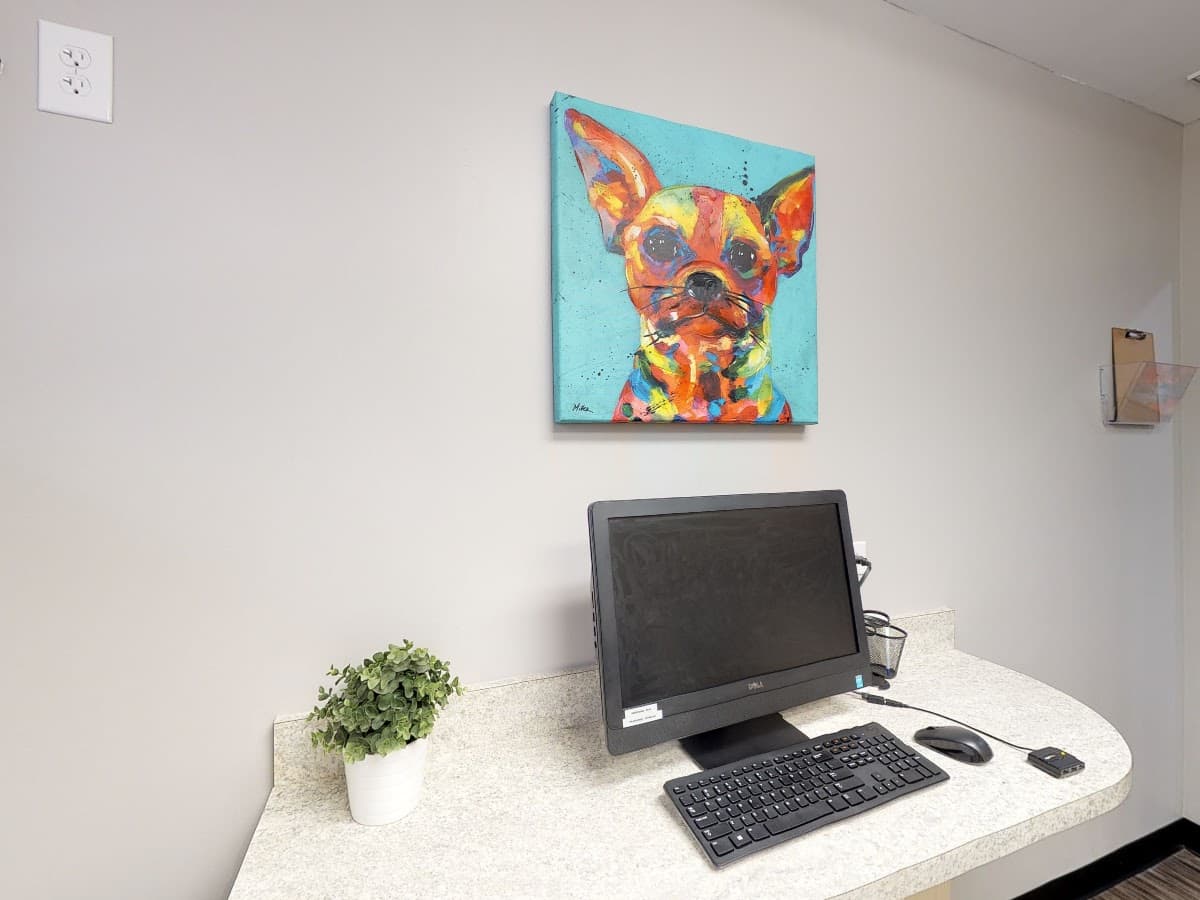 Tampa Dentistry — foto