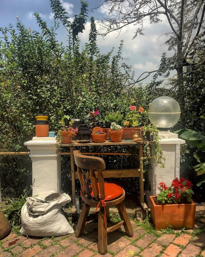Botanico Hostel — foto