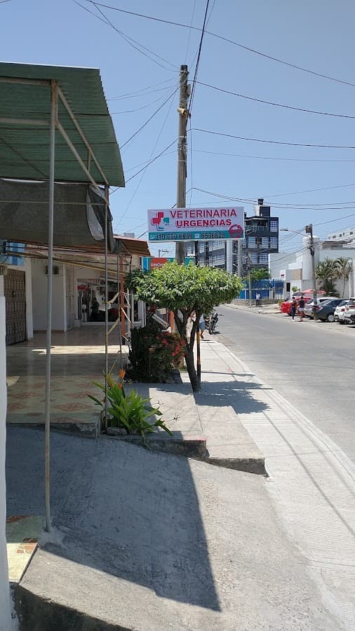 Veterinaria San Fernando