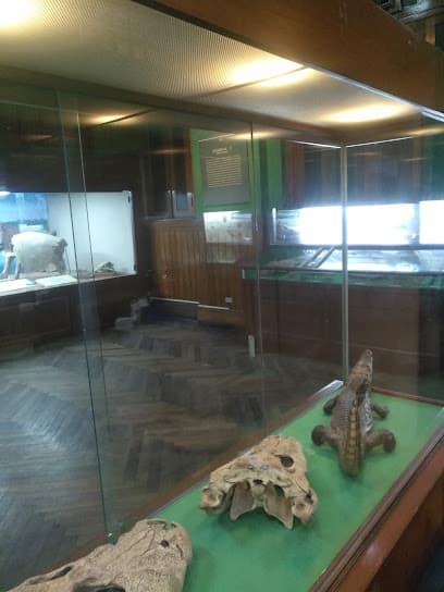 Instituto de Investigaciones Antropológicas y Museo Arqueológico