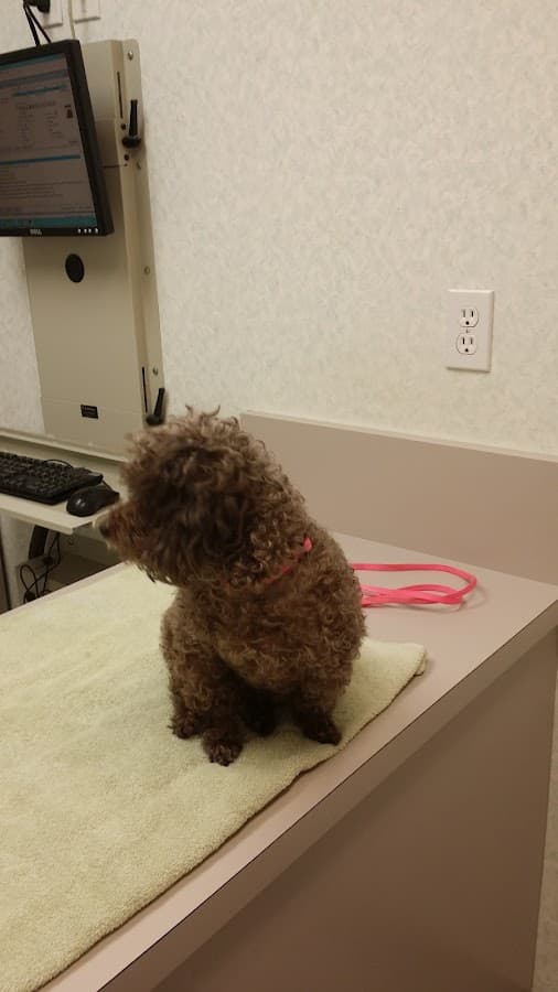 Animal Hospital of Ft Lauderdale
