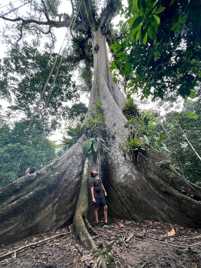 Canopy Tours Iquitos Office — foto