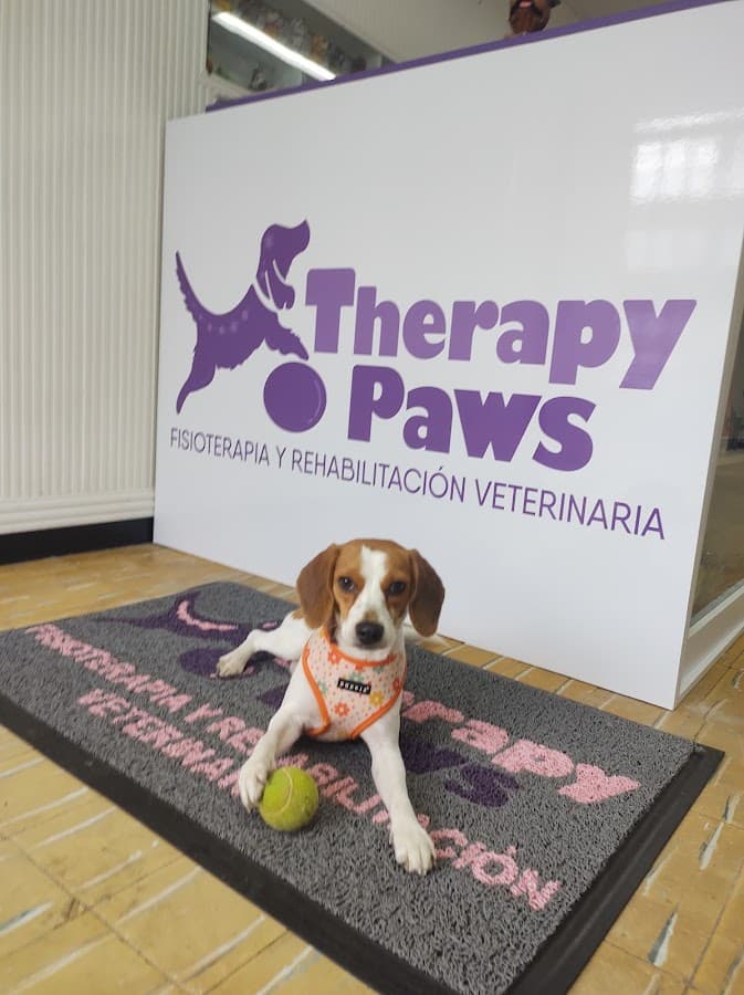Therapy Paws Fisioterapia y Rehabilitación Veterinaria Ibagué