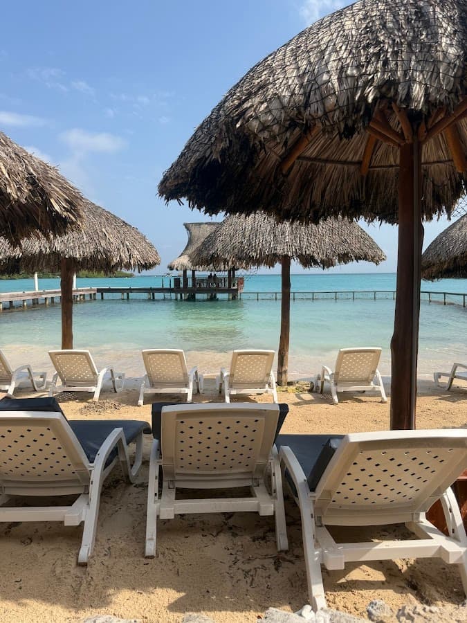 Iguanas Tours