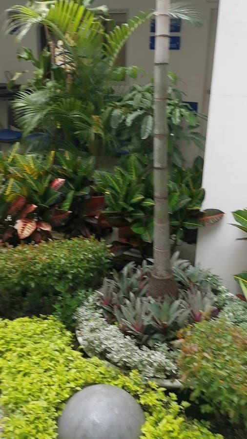 Clínica La Riviera - Cabecera — foto