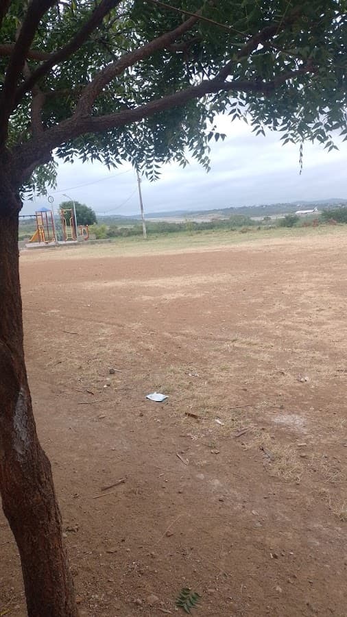 Vista de aeronaves del aeropuerto Camilo Daza