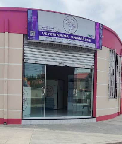 Veterinaria AnimaL ve — foto