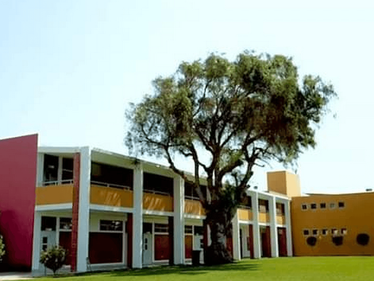 Colegio CEIBOS — foto