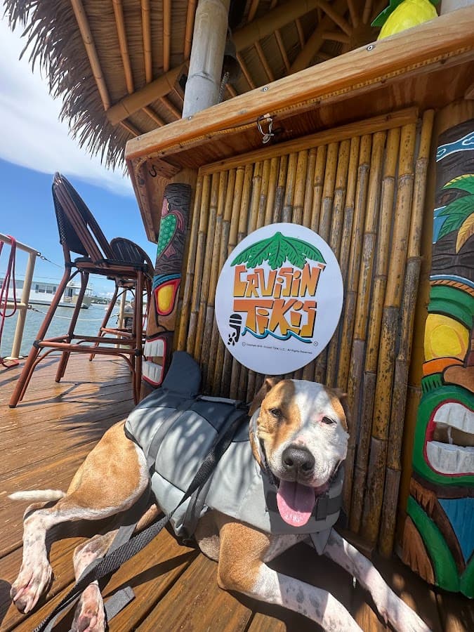 Cruisin Tikis West Palm Beach