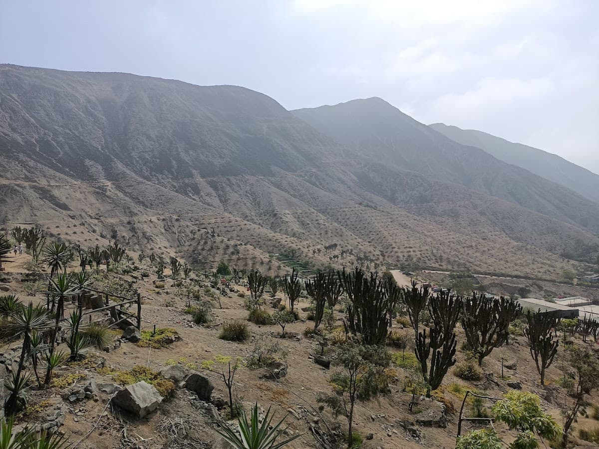 Parque Ecológico de La Molina — foto