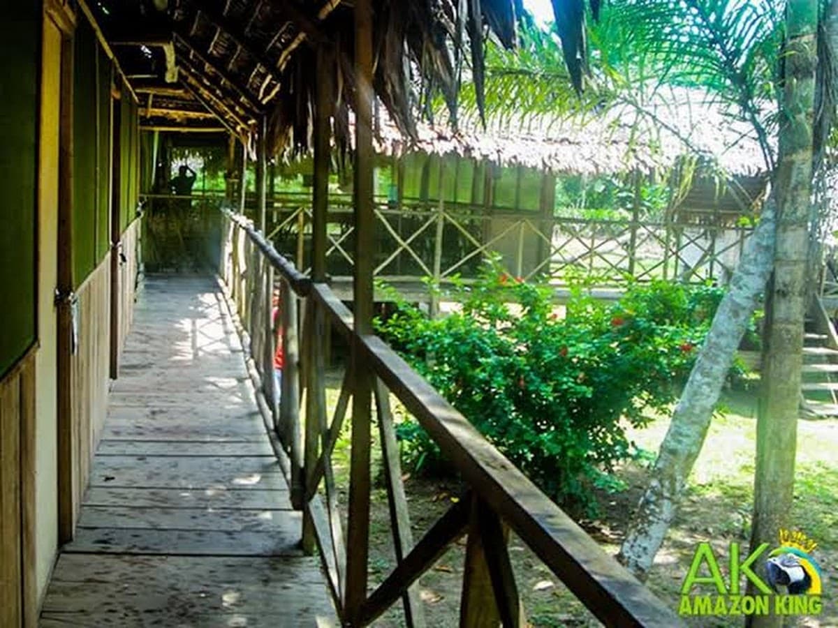 Agencia Amazon King - Tours & Travel — foto